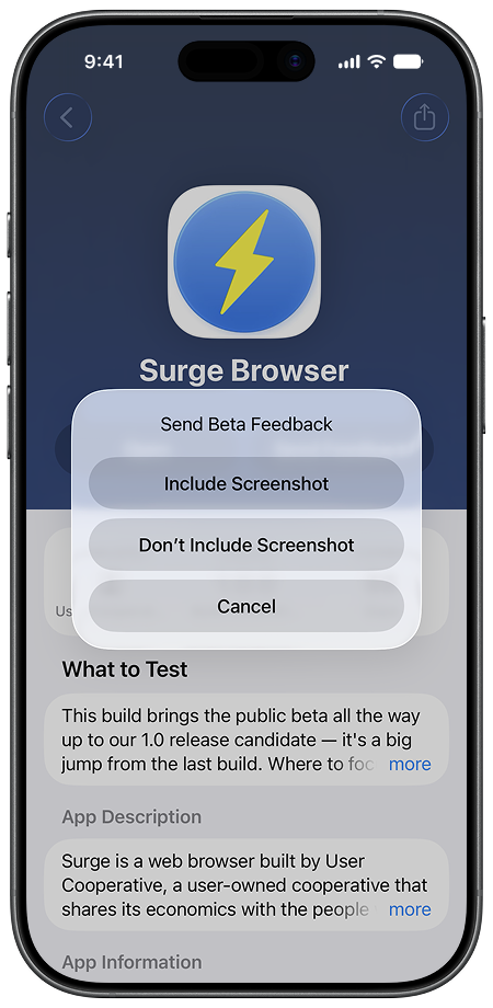 TestFlight feedback options with Include Screenshot