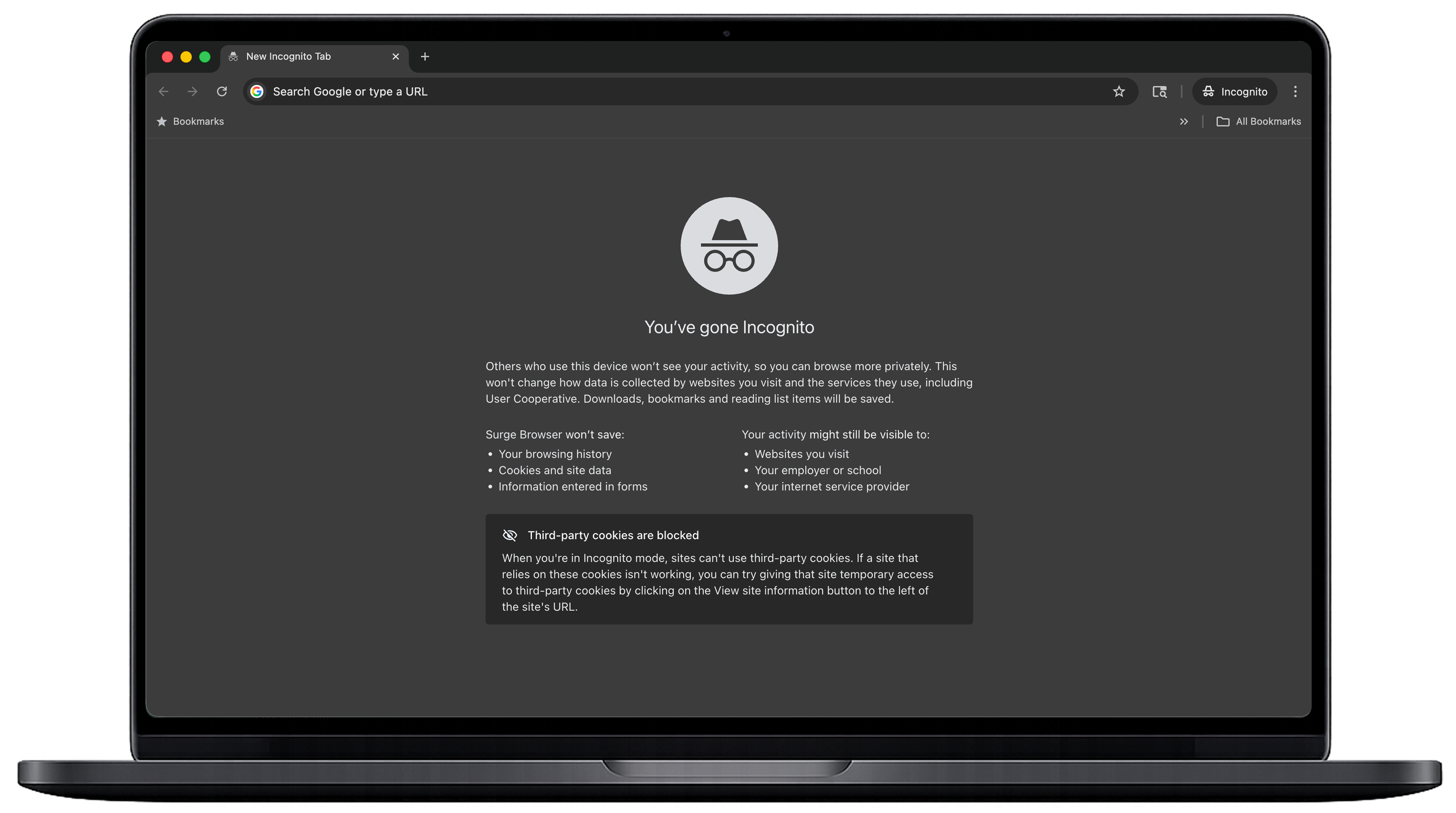 Surge Browser incognito mode