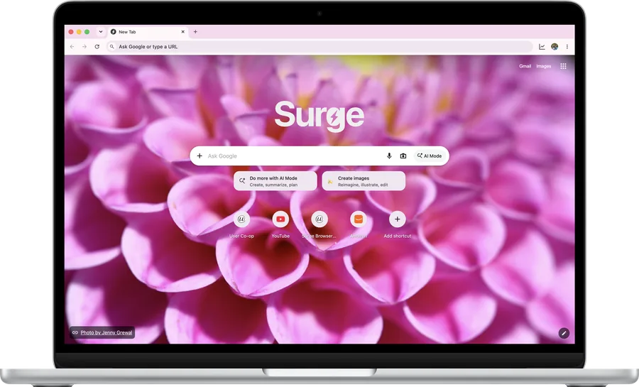 Surge for Mac's new tab page on a MacBook Air, with a dahlia photo from the Life collection behind it